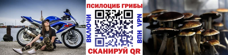 Галлюциногенные грибы мухоморы  Купить закладки  Сольвычегодск 
